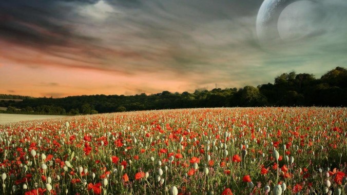 什么是你去了台湾才知道的事?